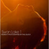 Lago Swan 1 – Andrea P por Paul Black (16 fotos)
