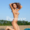 Psenicce – Nikia por Rylsky (16 fotos)